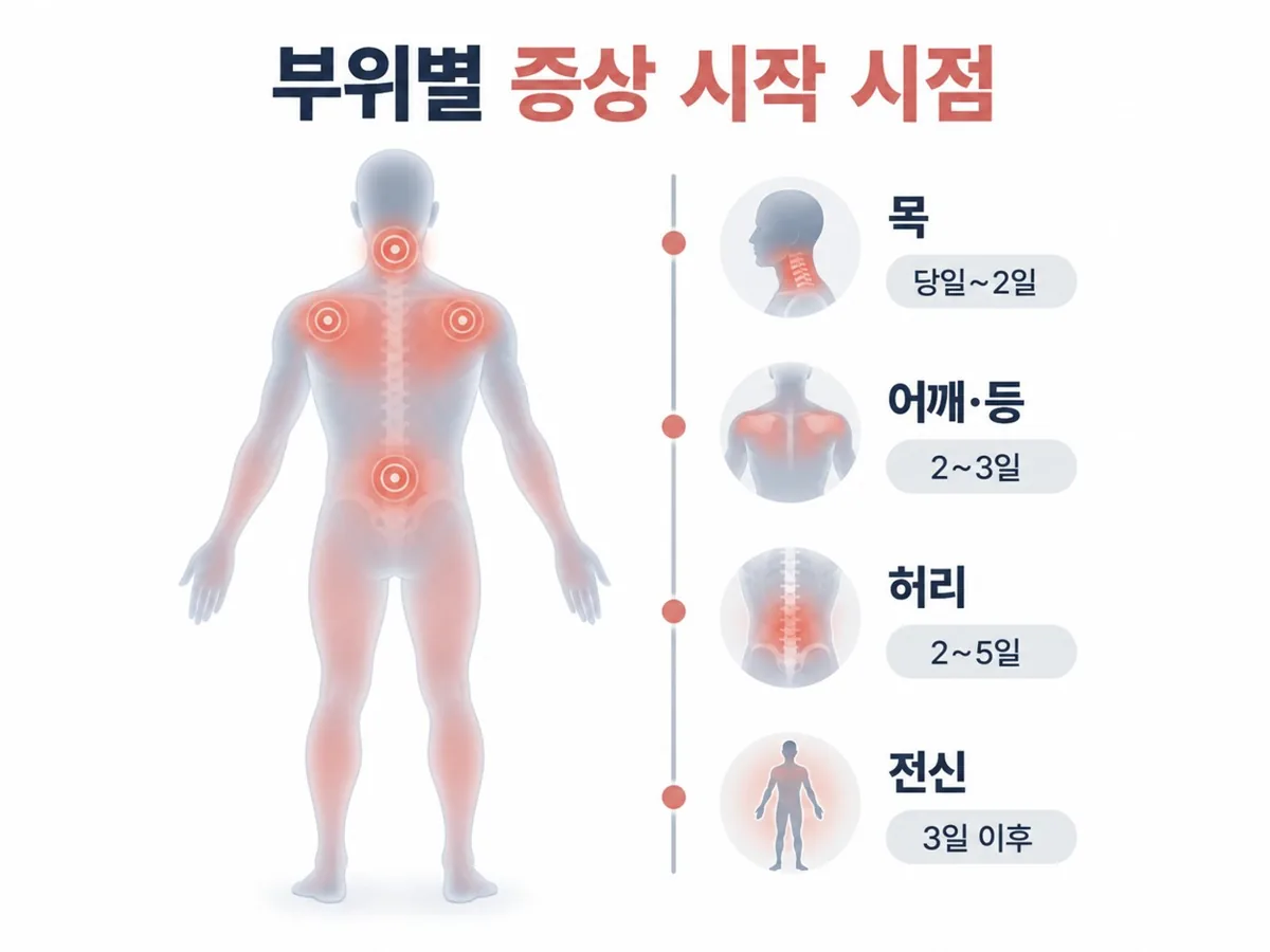 부위별 증상 시작 시점 — 목, 어깨·등, 허리, 전신